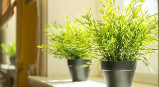 Гостиница Ушанка Хостел Иркутск-4